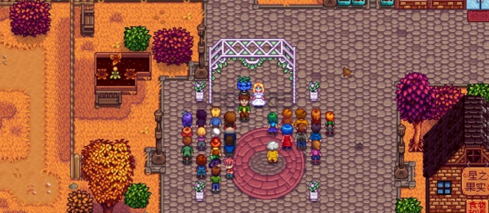 星露谷物语结婚送什么3