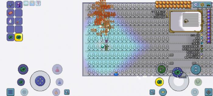 泰拉瑞亚悠悠球带什么饰品2