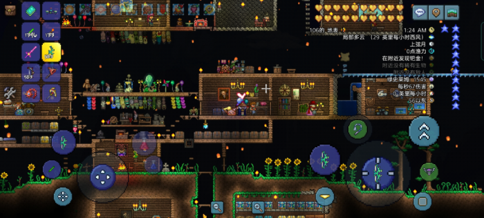 泰拉瑞亚悠悠球带什么饰品3