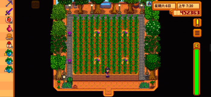 星露谷物语储藏室怎么做2