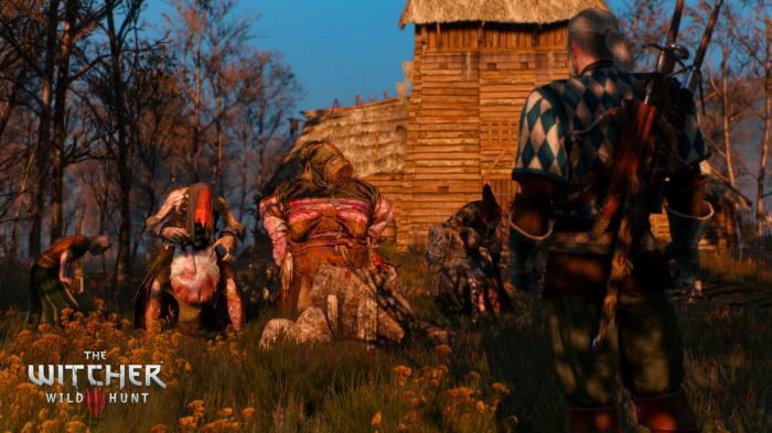 萌新必看巫师3熊派最强加点1