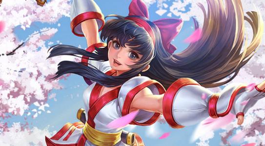 娜可露露铭文带什么1