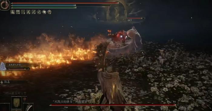 艾尔登法环能打特殊异常的骨灰有哪些1