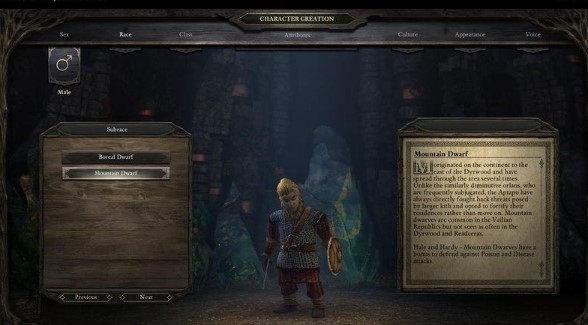 永恒之柱有哪些种族3