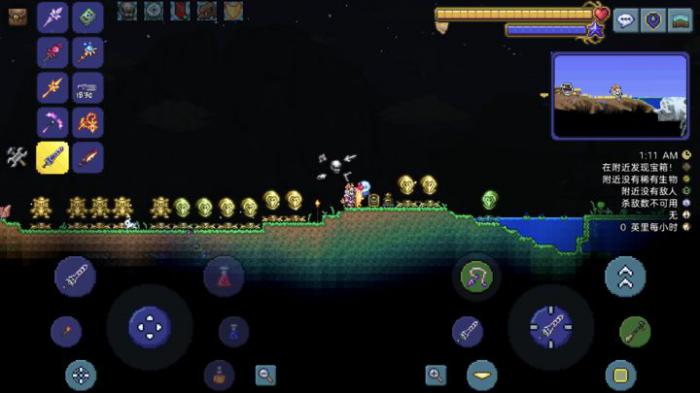 泰拉瑞亚幻影龙宠物如何调换2