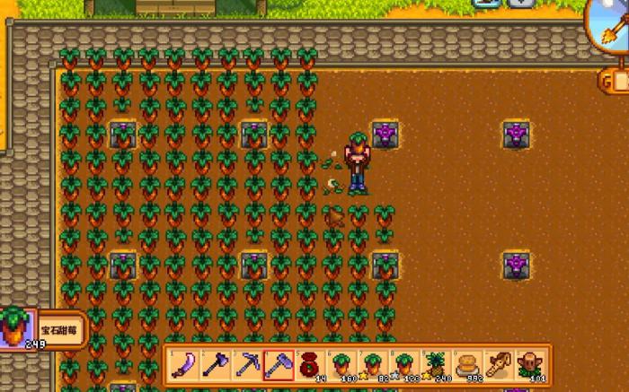 星露谷物语宝石甜莓的收入怎么样3