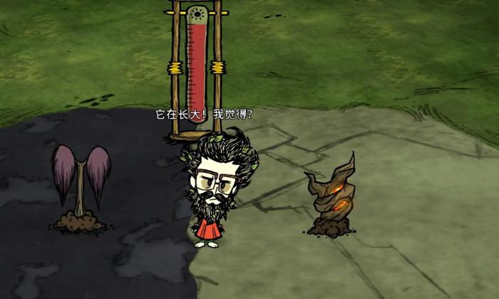 饥荒惊喜种子有什么用2