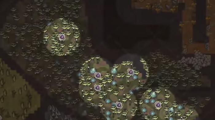 饥荒联机版蘑菇地精刷新怎么触发2