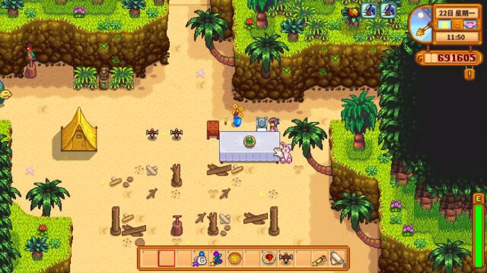 星露谷物语姜岛宝藏有哪些1