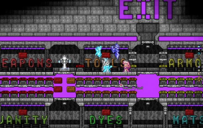 泰拉瑞亚npc入住条件有哪些2