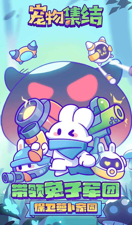宠物集结什么时候上线1