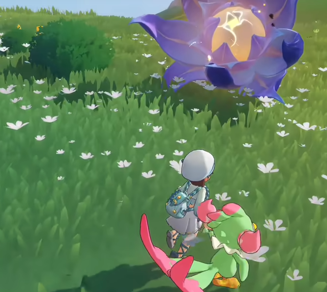 洛克王国世界咔咔鸟位置攻略3