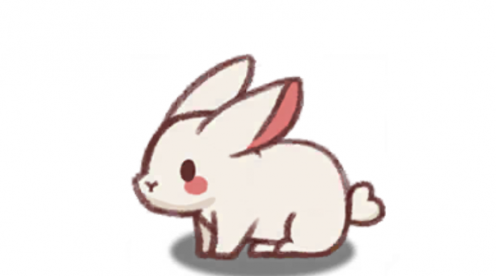 嘟嘟脸恶作剧宠物推荐3