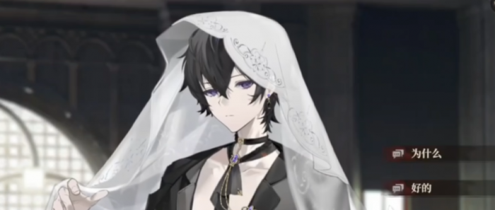 代号砰砰幽灵邀约剧情全解析1