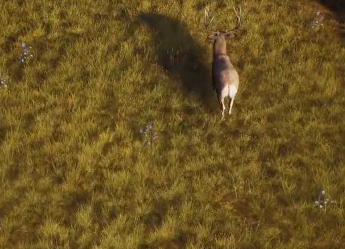 猎人之路英文名是什么2