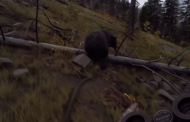 猎人之路怎么打熊2