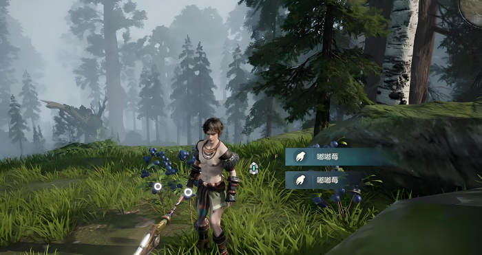 荒野起源森林地图全解析2