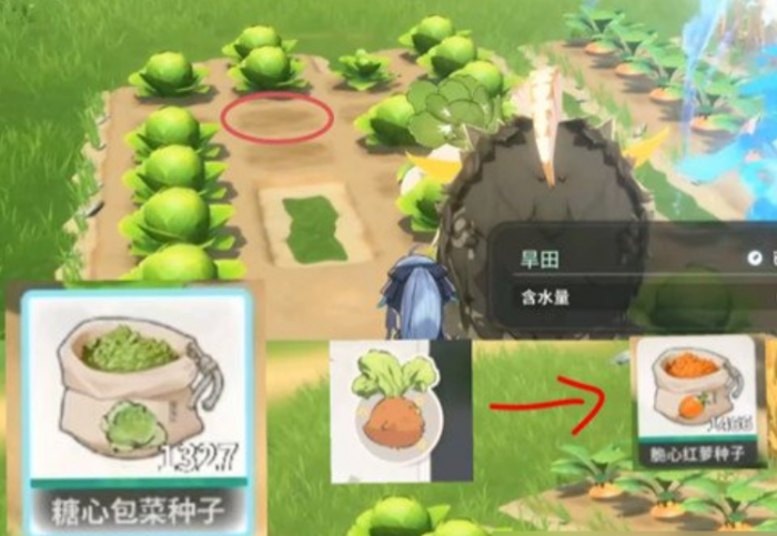 蓝色星原旅谣种菜玩法详解4