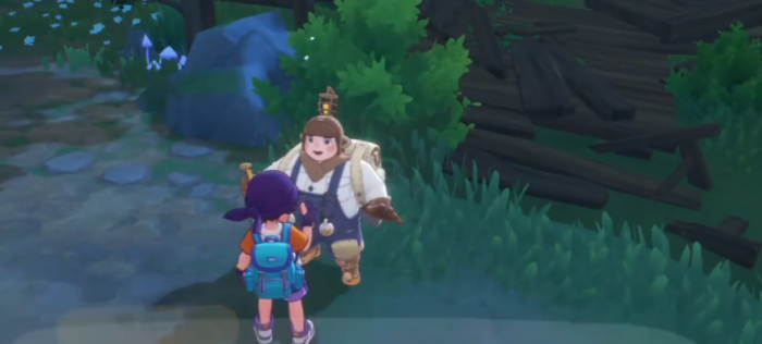 洛克王国世界弗里恩攻略2