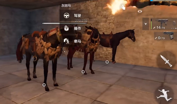 失控进化驯兽全攻略3