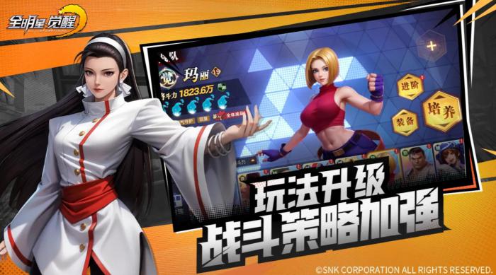 全明星觉醒几月上线3