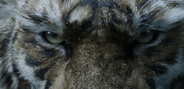 黑神话钟馗游戏介绍4