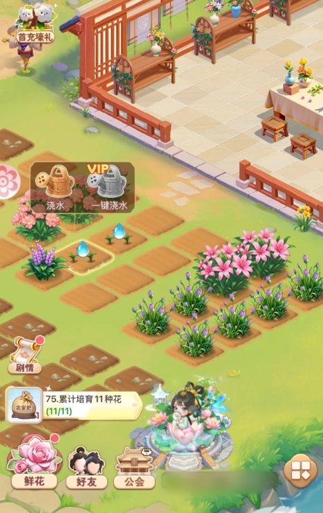 我的花园世界种花攻略3