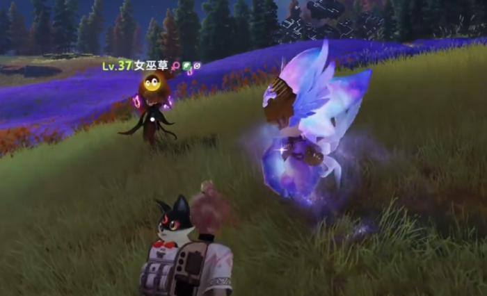 伊莫鸢尾花海地图介绍1