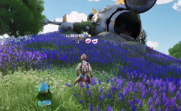 伊莫狼牙岭宠物有哪些4