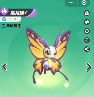 曙光重临t0队伍怎么组合6