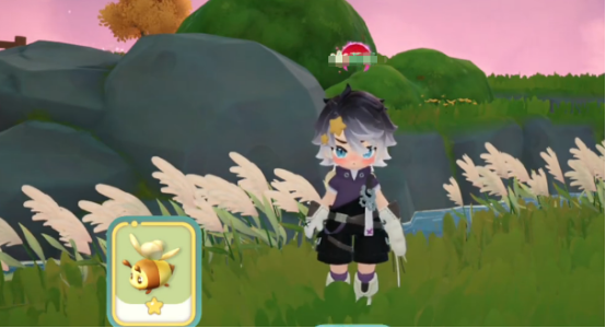 米姆米姆哈小橘蜂怎么捕捉1