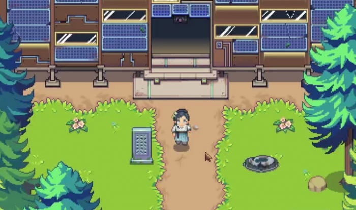 江城创业记茴参在哪采1