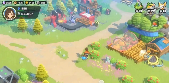 曙光重临宠物特训营在哪3