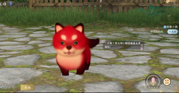 逆水寒手游宠物对话怎么玩3