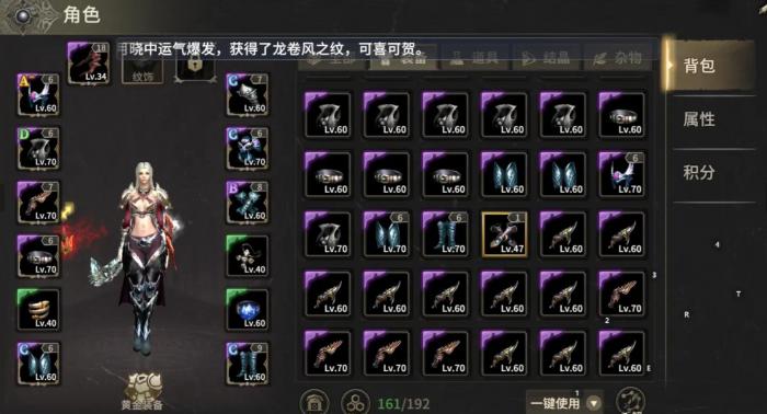 奇迹世界起源装备系统介绍2