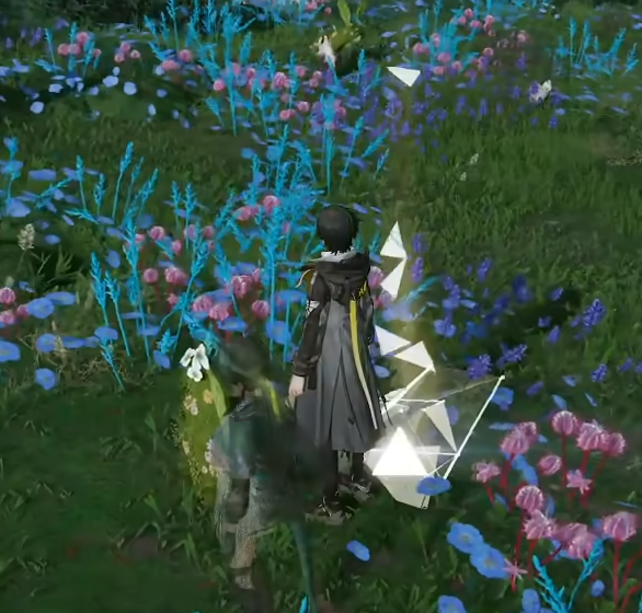 明日方舟终末地英文名是什么5