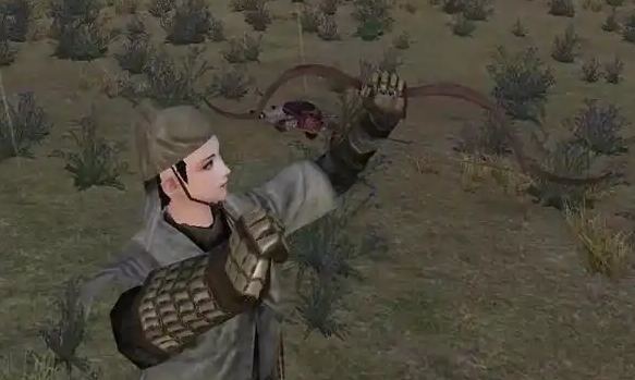 乱舞水浒野外npc属性表1