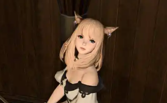 最终幻想14水晶世界猫娘介绍4