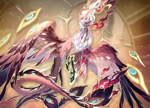 指尖幻影月卡值得买吗5