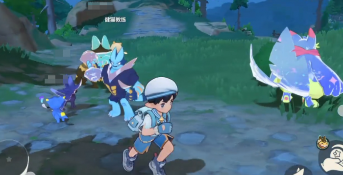 洛克王国世界呼拉猫怎么样5