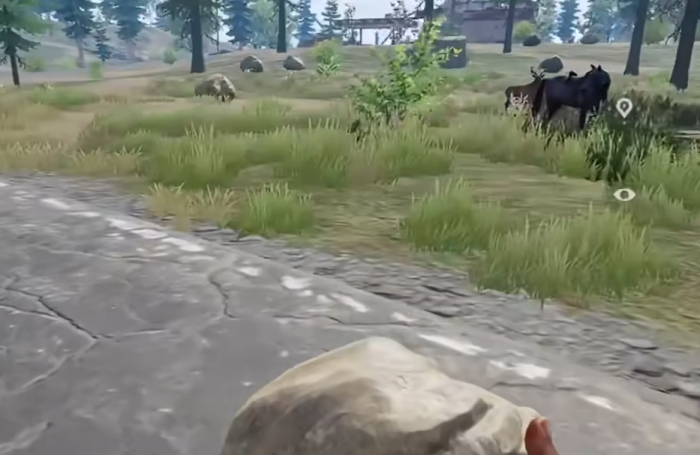 失控进化发育攻略4