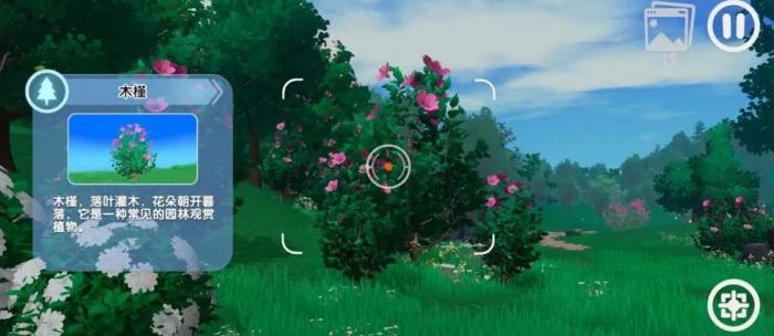 神奇植物园手游拍照玩法详解4