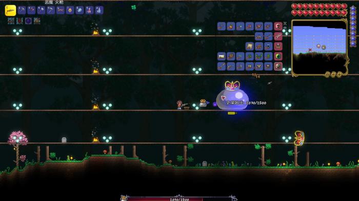 泰拉瑞亚前期有哪些稀有宠物1