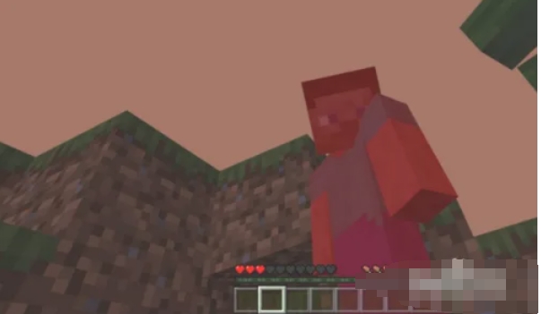 我的世界怎么把鼠标隐藏3