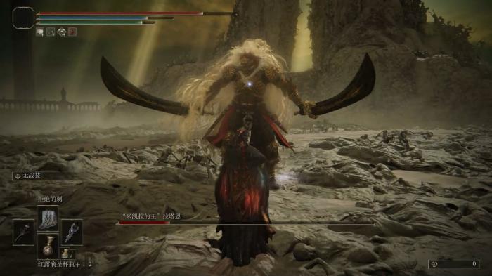 艾尔登法环拒绝的刺怎么配装2