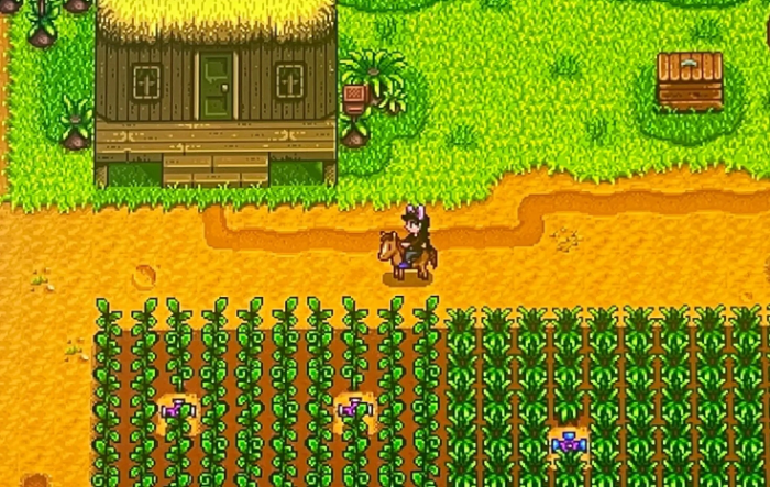 星露谷物语小马驹有什么用1