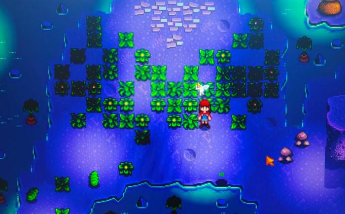 星露谷物语纤维如何大量收集2