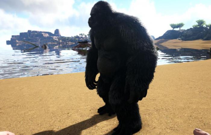 方舟生存进化巨猿有什么用_方舟生存进化巨猿的头盔在哪