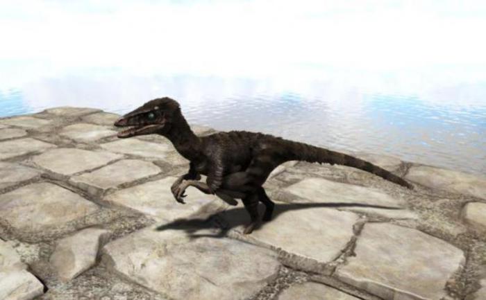 方舟生存进化伤齿龙有什么用1