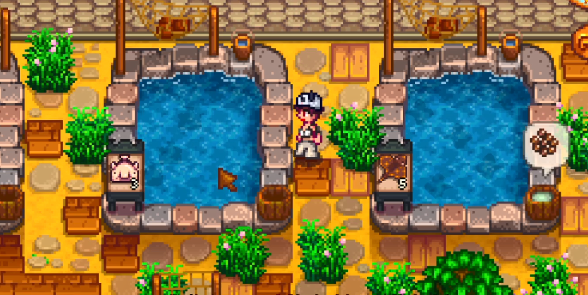 星露谷物语鱼塘养殖什么鱼比较好2